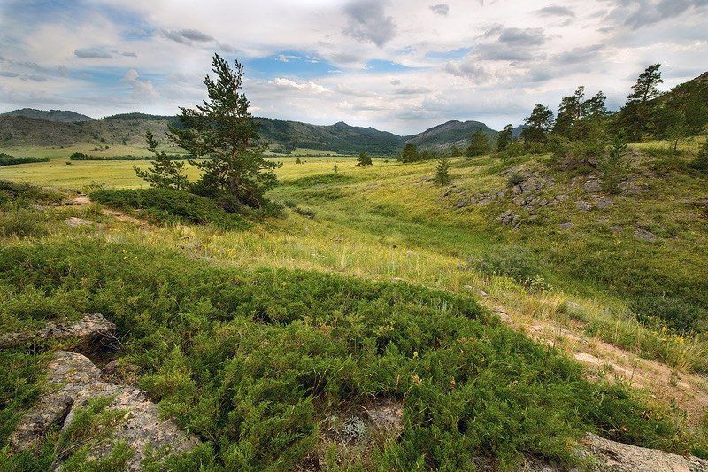 Кентphoto preview