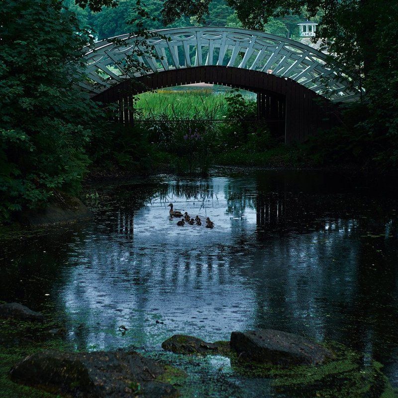 Выборг, Монрепо Парк Монрепо. Выборг.photo preview