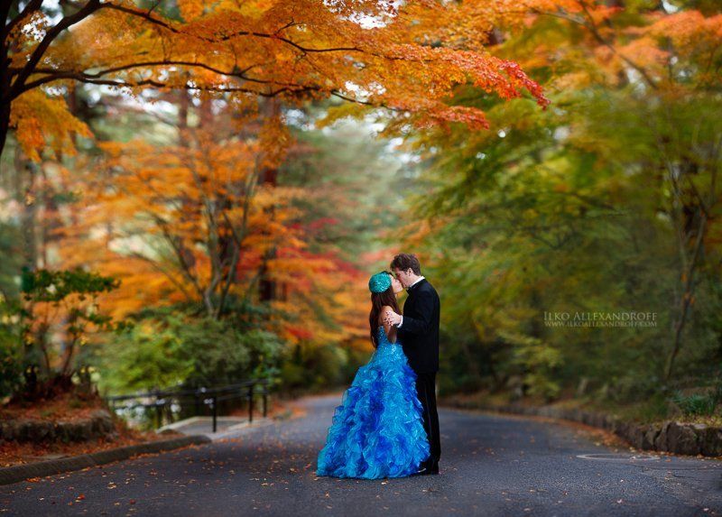 Autumn Weddingphoto preview