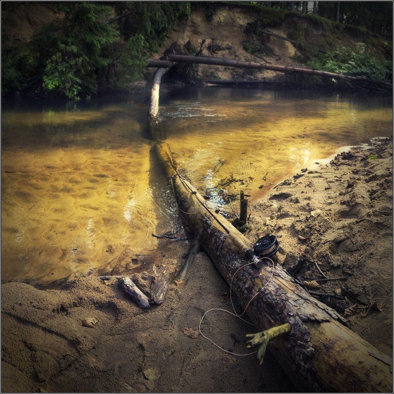 Беларусь, Нахлыст, Река, Рыбалка, Хариус Харьюзовыми тропами IIphoto preview