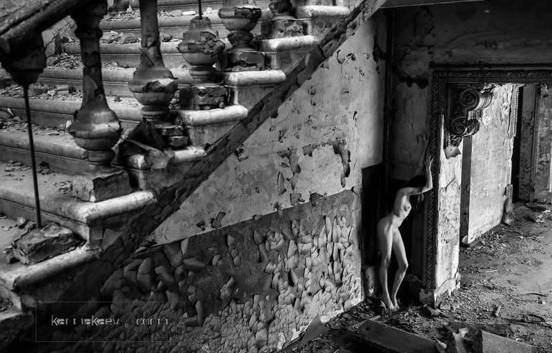 Despairphoto preview