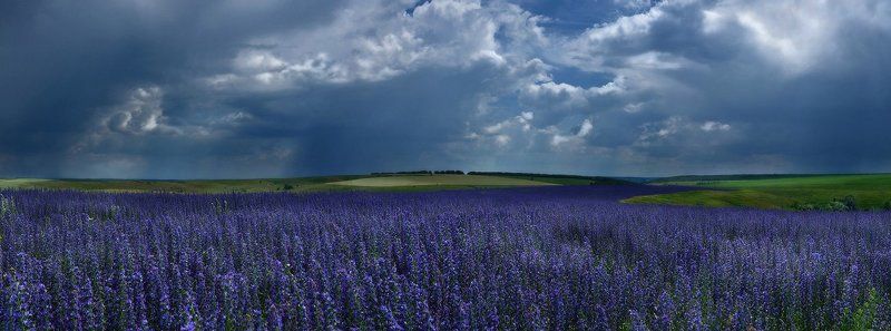 гроза, луг, поле Суровый горизонтphoto preview
