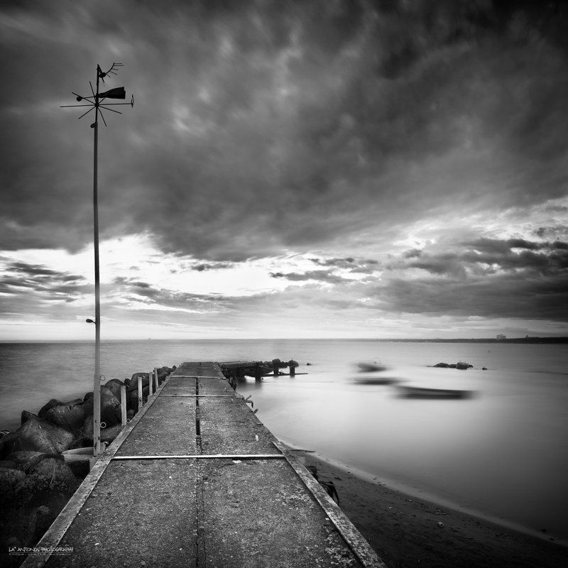 line...photo preview