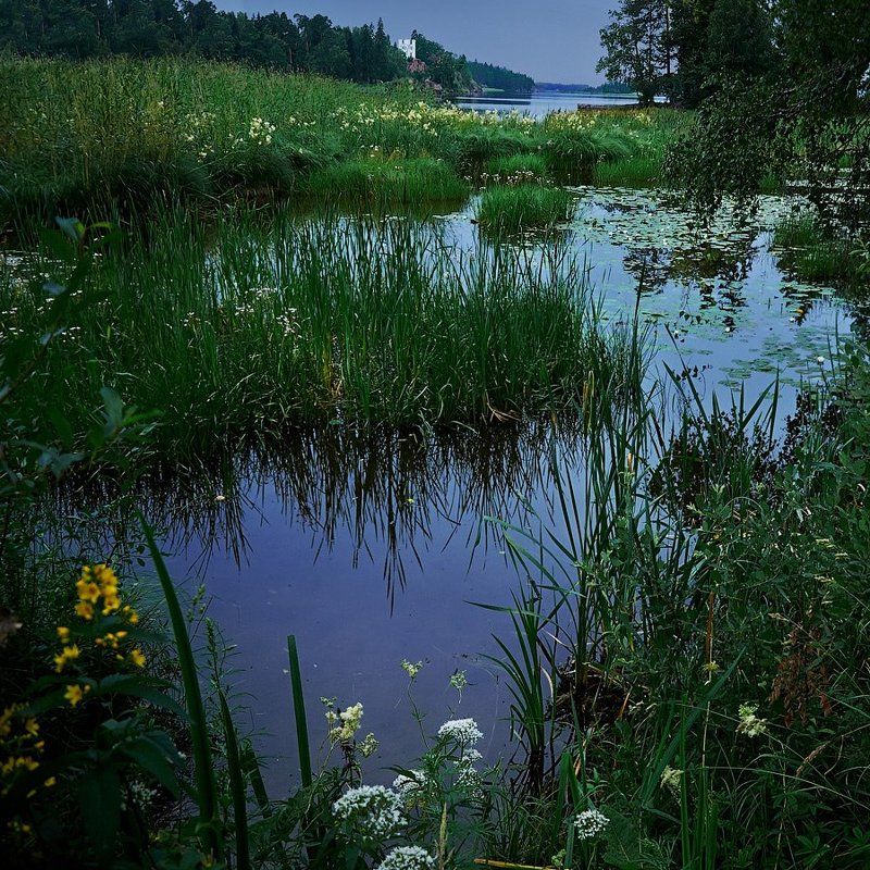 Выборг, Монрепо Выборг. парк Монрепо. Остров Мёртвых.photo preview