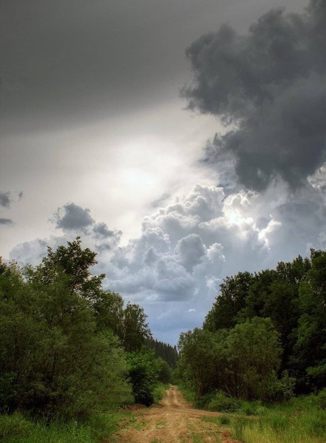 , Алексей Баяндин