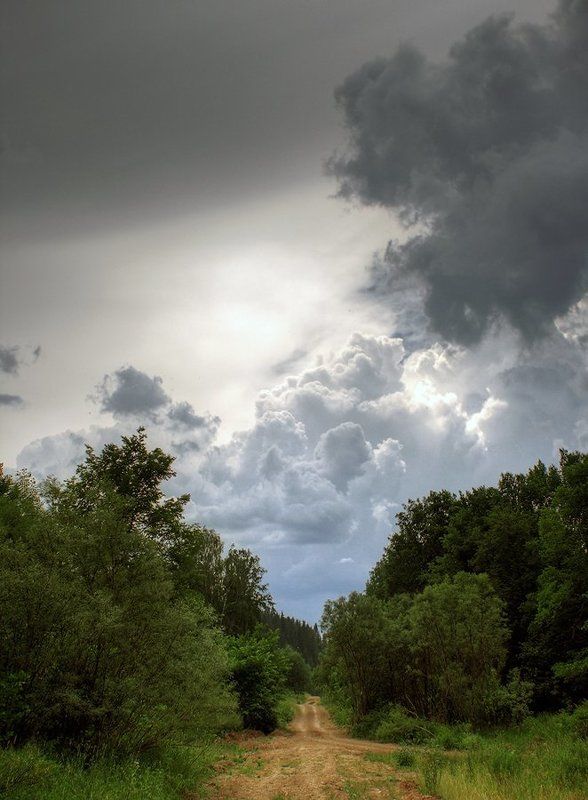 Дорога в облакаphoto preview