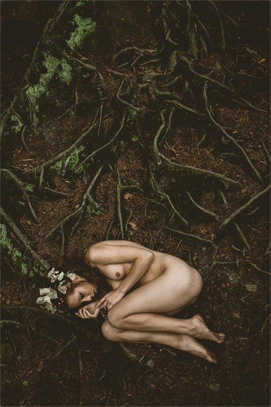 сон...photo preview