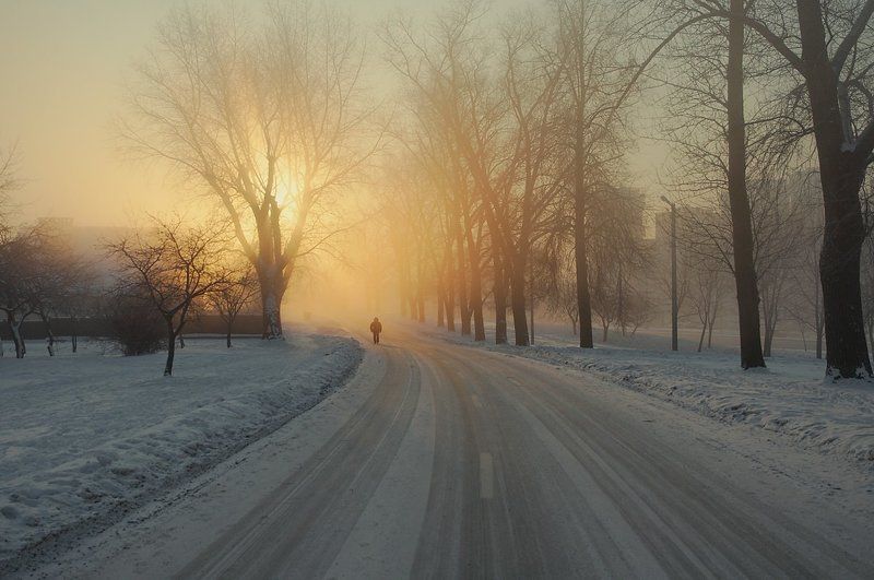 ... к свету ...photo preview