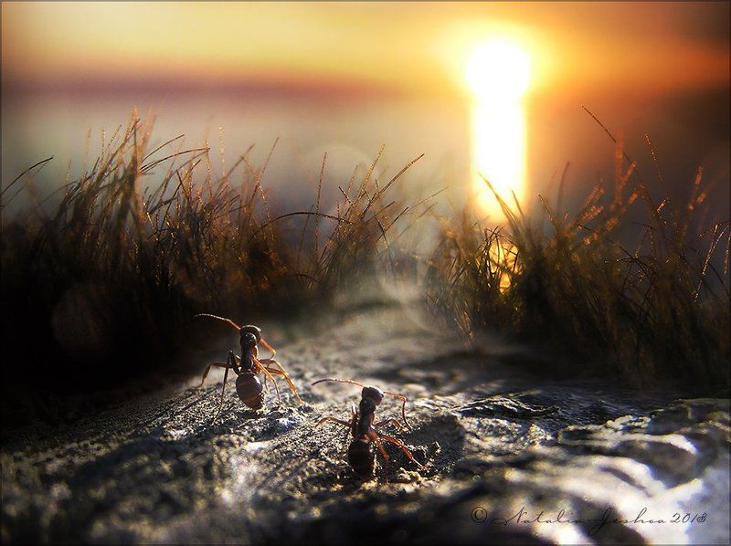 Достучаться до небесphoto preview