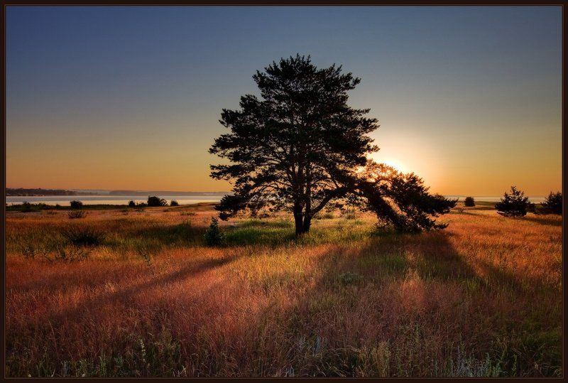 Утренний Этюдphoto preview