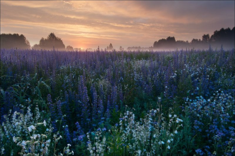 уходящий туманphoto preview