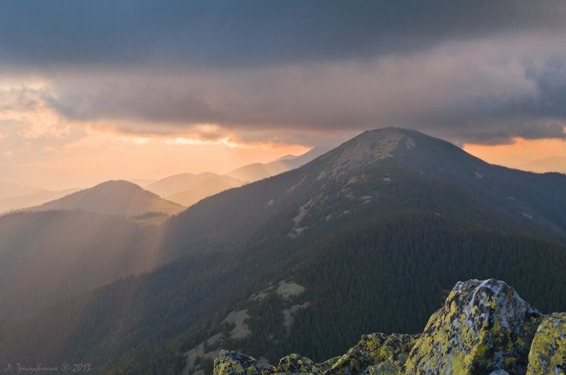 Синь оранжеваяphoto preview