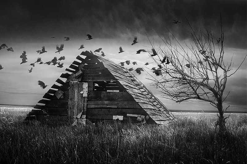 tdadiz, dizfx 22/06photo preview