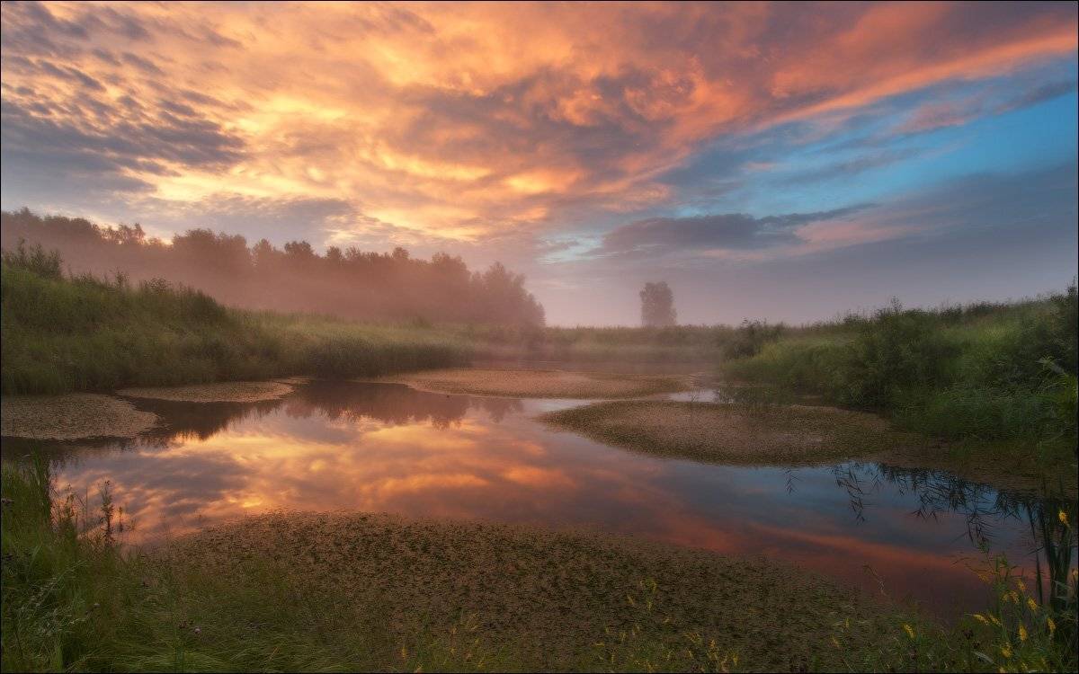 , Евгений Мартов