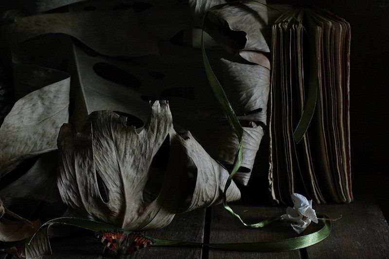 натюрморт Усталостьphoto preview