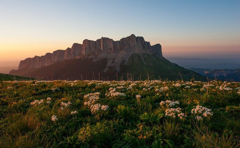 тхач photo preview