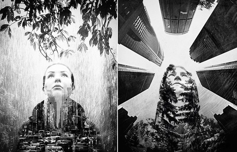 Путь сердцаphoto preview