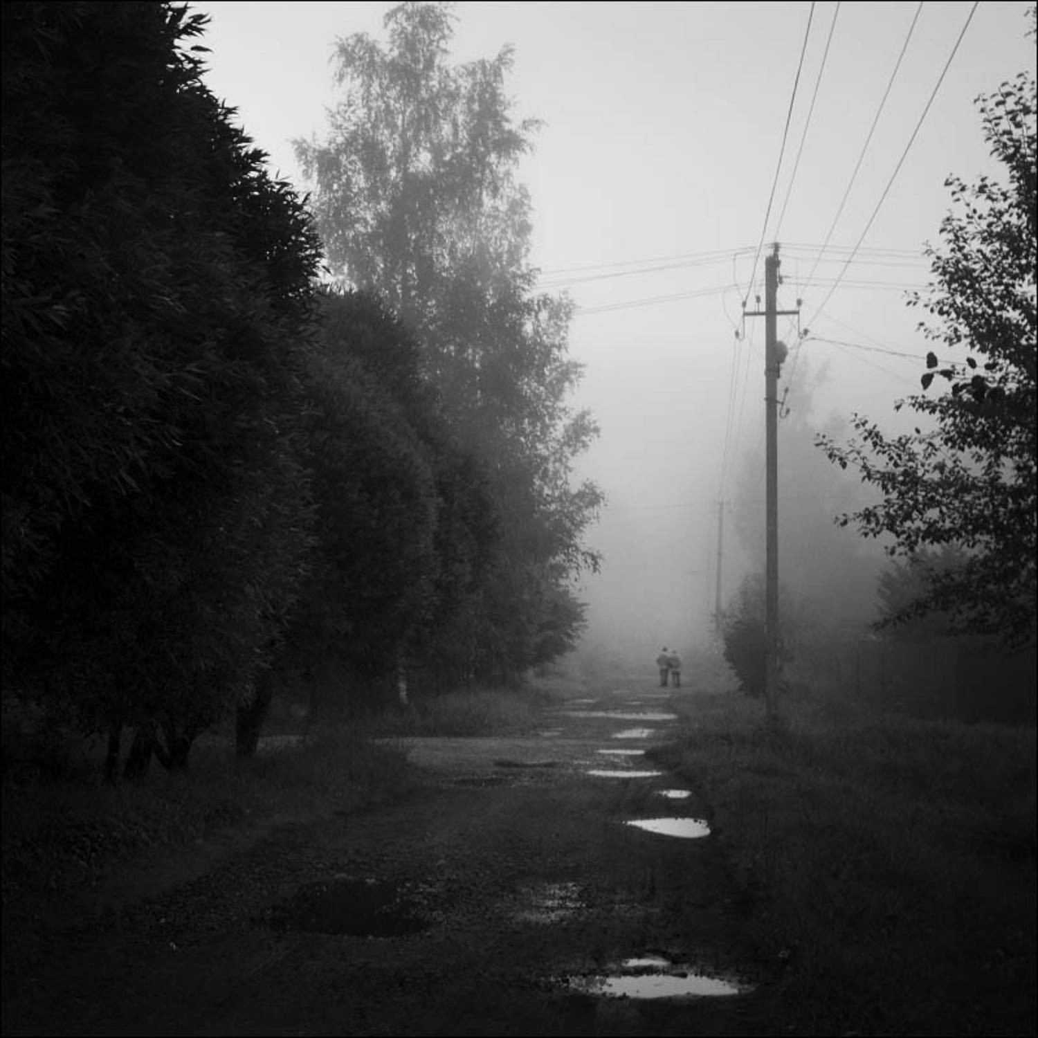 После дождя. Автор: Vladimir Markov , Vladimir Markov