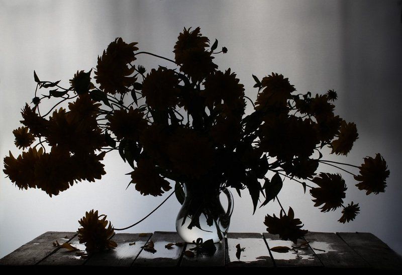 натюрморт, цветы photo preview