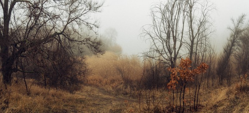 В туманное Рождествоphoto preview