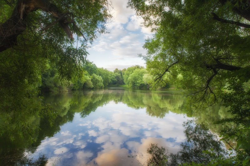 Пейзаж, парк, природа России, летний день, отражения Теплый вечерний день в паркеphoto preview