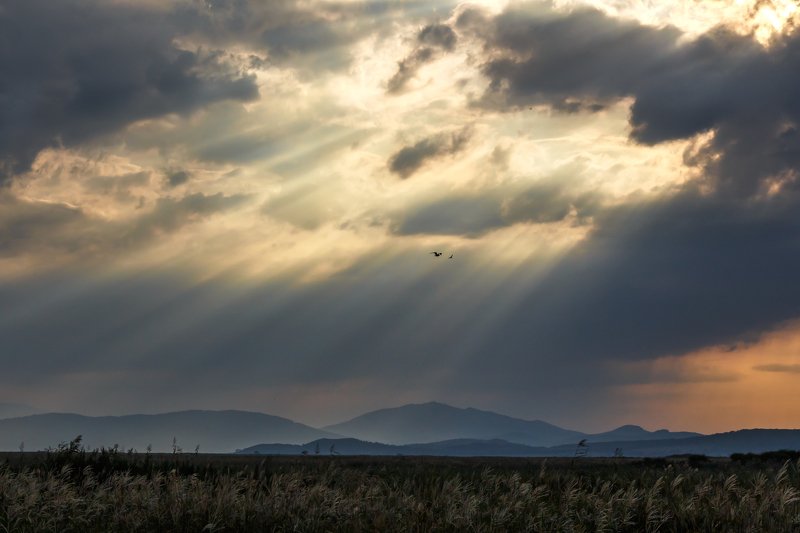 Путь к свету..photo preview