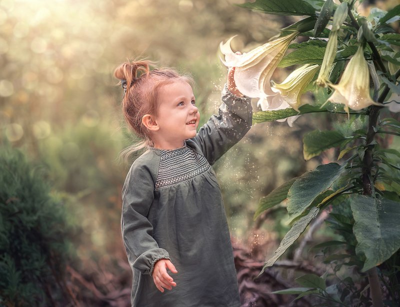 Волшебная пыльцаphoto preview