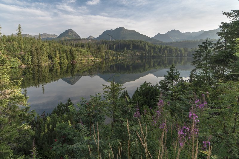 словакия, горы, татры, штребське плесо, озеро, деревья, пейзаж Штребське Плесоphoto preview