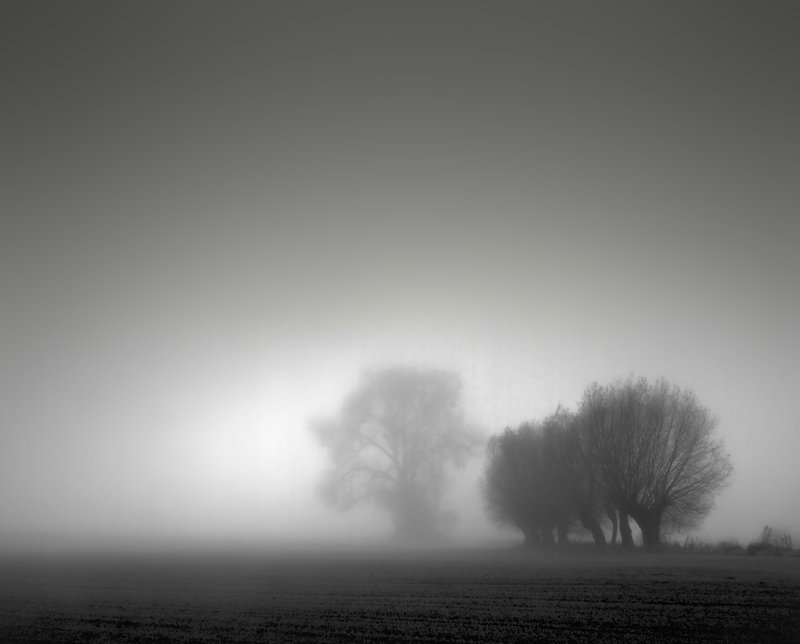 among the fields...photo preview