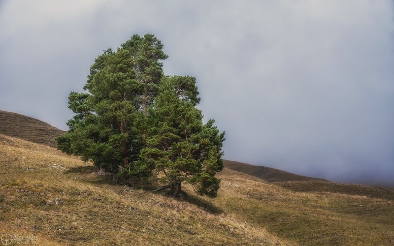 Выше только облака... фото превью