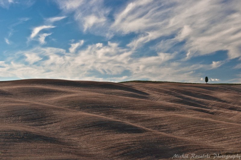 hills, ,tuscany, ,light, ,shadow, ,tree, ,cypress, ,rolling, , Rolling hillsphoto preview