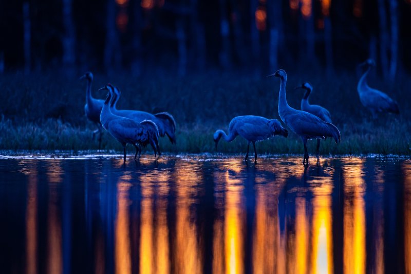 Between day and nightphoto preview