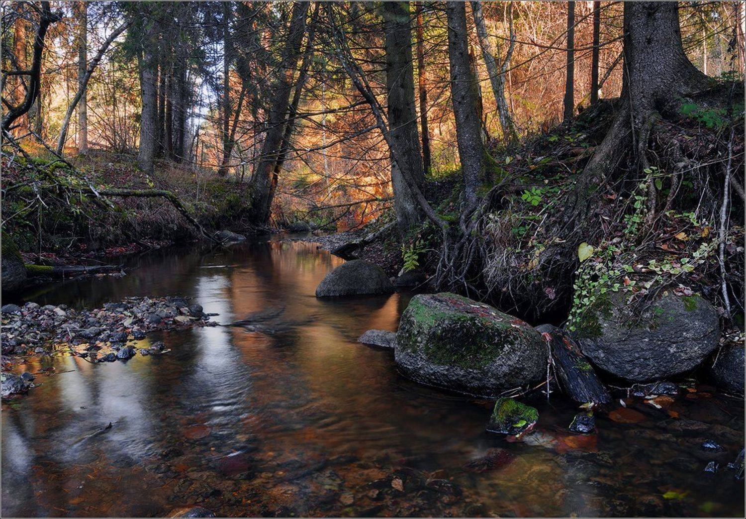 беларусь ноябрь ручей осень, Andrew Kuzmin