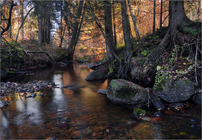 беларусь ноябрь ручей осень ***photo preview