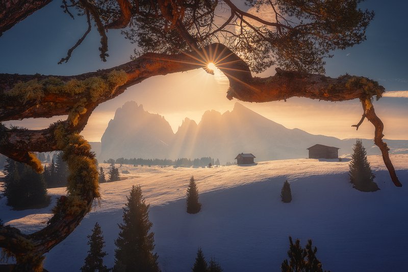dolomiti, italy, landscape, winter, snow, alpe, di, siusi, mountain, sun,  alpe di siusiphoto preview