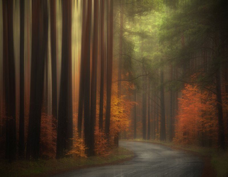 at the bend...photo preview