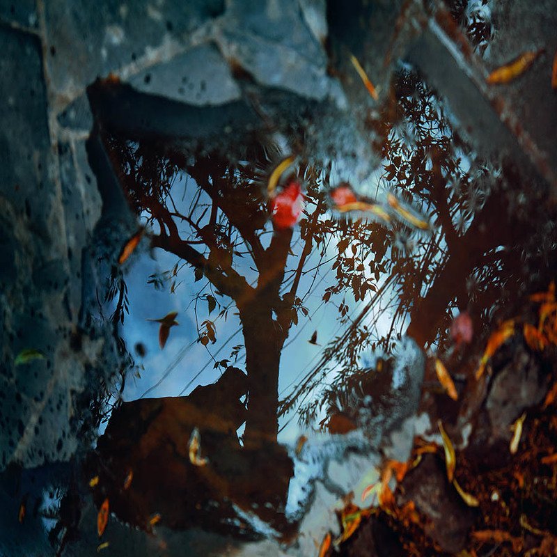 Reflectionphoto preview