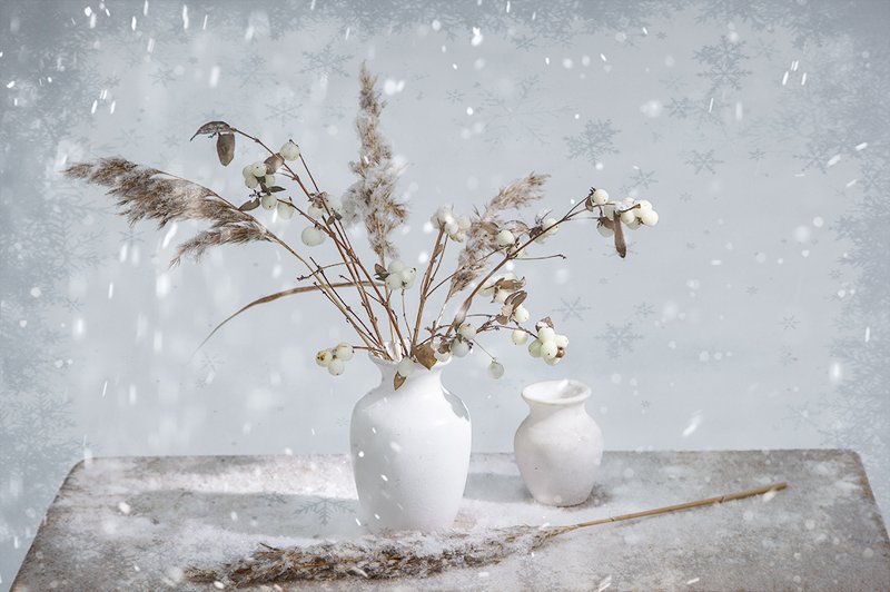 Падал снегphoto preview