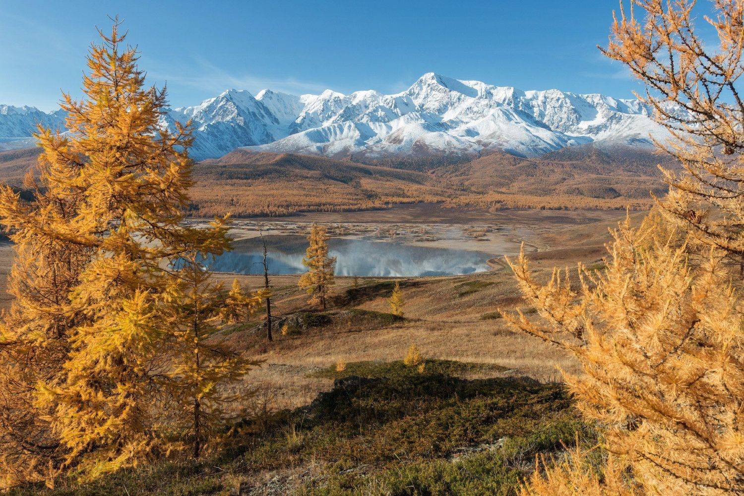 Автор: Сергей , Сергей