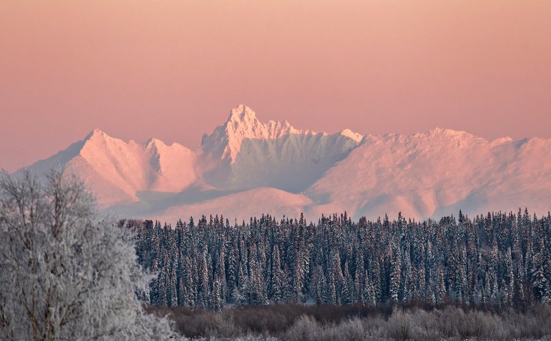 гора, сабля, приполярный урал,север,коми,зима,природа,горы,mountain, sabre, circumpolar urals, north, komi, winter, nature, mountains Гора Сабля, Приполярный урал, на закатеphoto preview