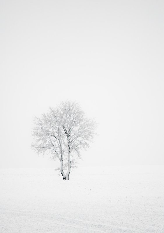 winter time...photo preview