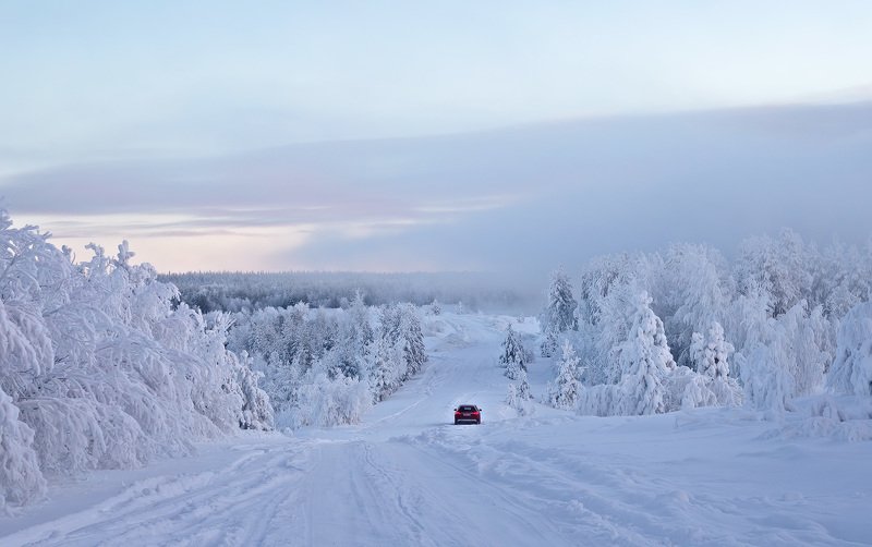 север,коми,зима,природа,печора Зимние красотыphoto preview