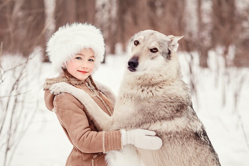 зима, зимний день, winter, дети, питомец, друзья, дружба, волк, детство, зимняя фотосессия, детская фотосессия, детская фотография, children photography, kid, children, child, childhood, детство, семейная фотосессия, дети модели, дети модели москва, wolf Mashaphoto preview