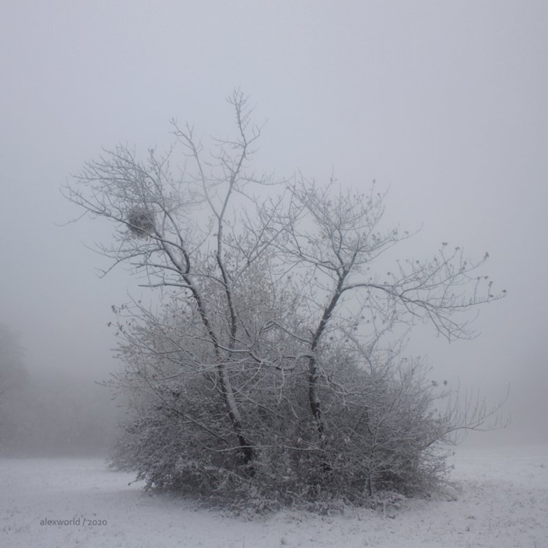 Untitledphoto preview