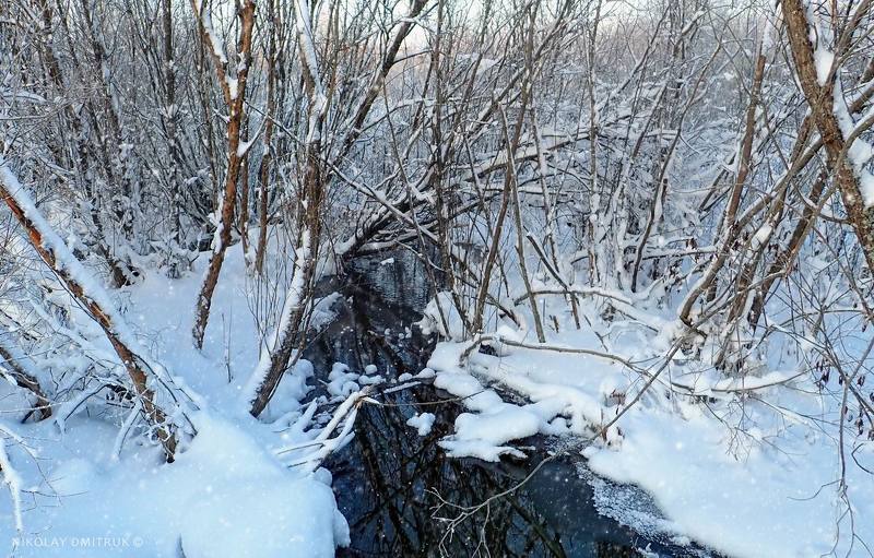 пейзаж чёрный ручей. .2021.photo preview