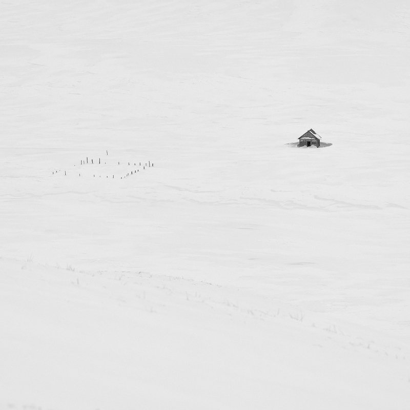 Забытыеphoto preview