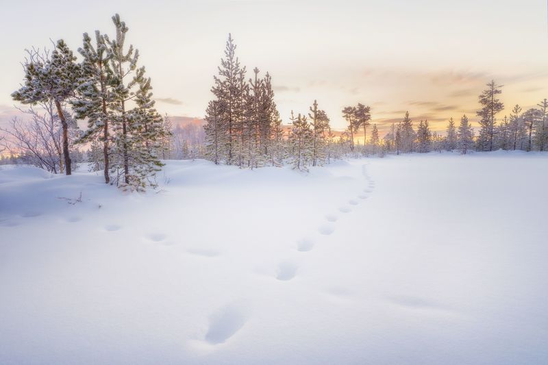 пейзаж, природа россии, полярный день, мурманск, север, красота природы, снег, зима, зимний пейзаж Полярный день, Мурманская областьphoto preview