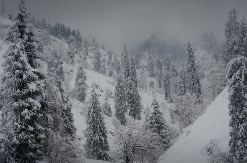 в сумрачных горах фото превью