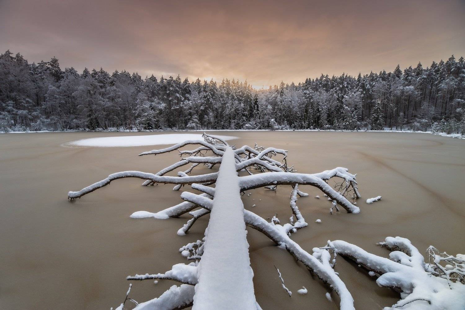 Winter. Автор: Jakub Przybyla jakubprzybyla, pentax, irix, winter, Jakub Przybyla