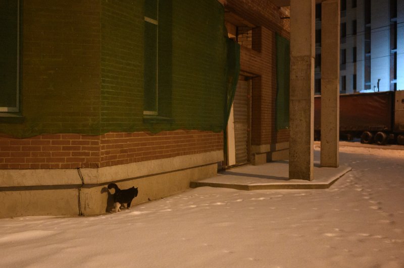 уличная фотография, ночь, северодвинск, В районе новостроекphoto preview